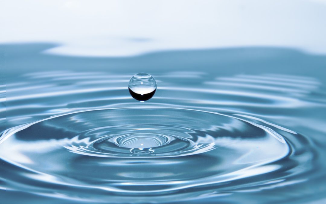 The Ripple Effect: 3 Ways Training Improves Your Business